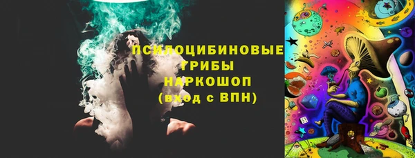трава Бородино