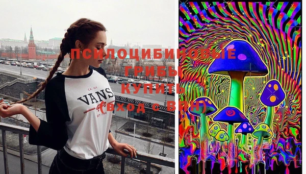 MDMA Premium VHQ Бронницы