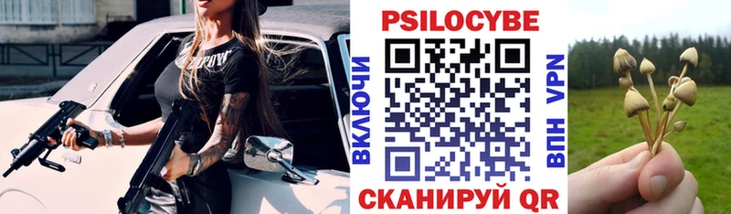 Псилоцибиновые грибы мицелий  Торжок 